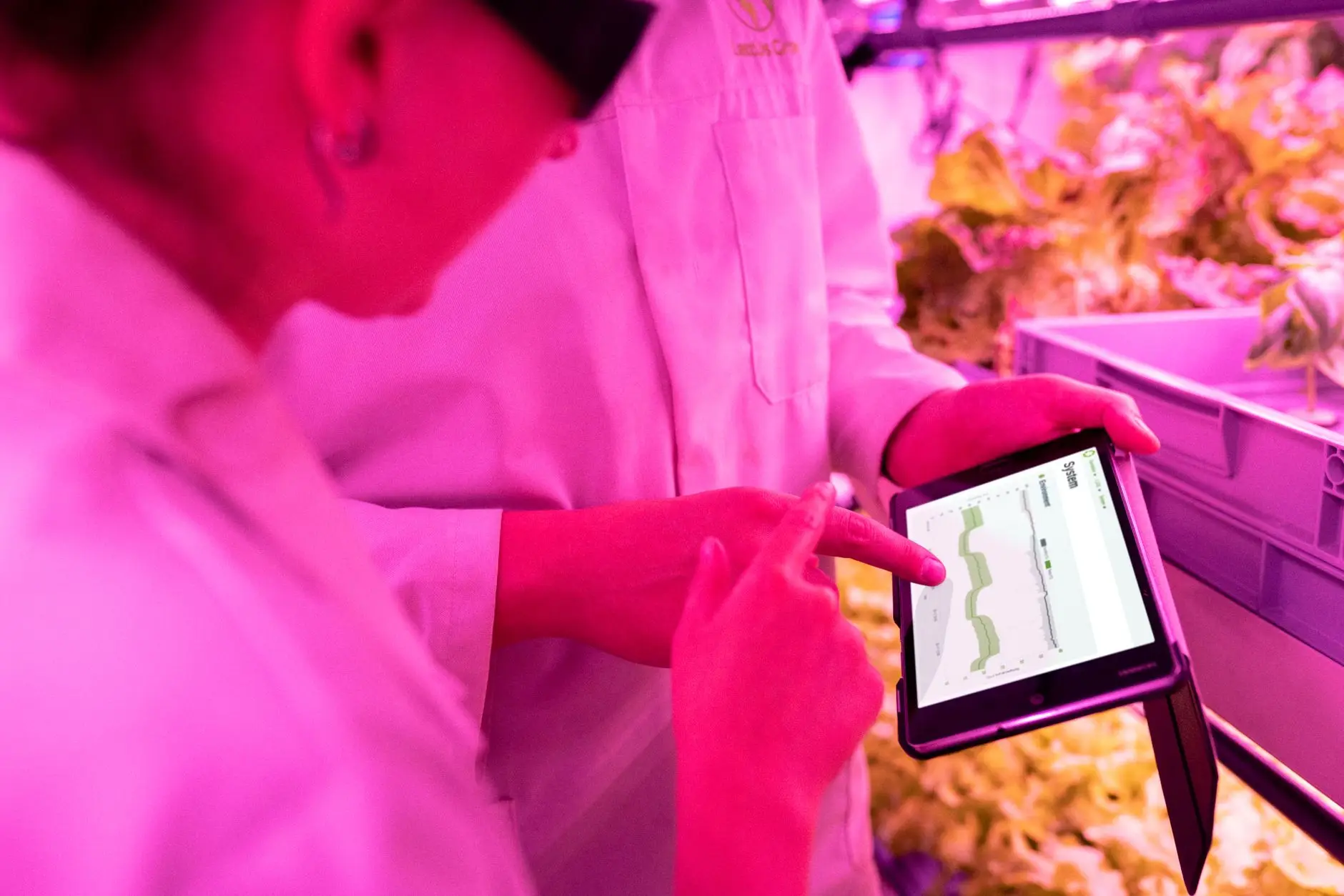 综合布线系统在智慧楼宇项目中的施工要点与质量管控