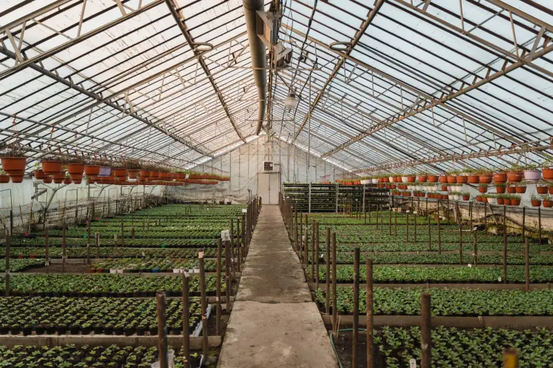 综合布线系统设计要点：北京浩亚科技楼宇弱电工程实践