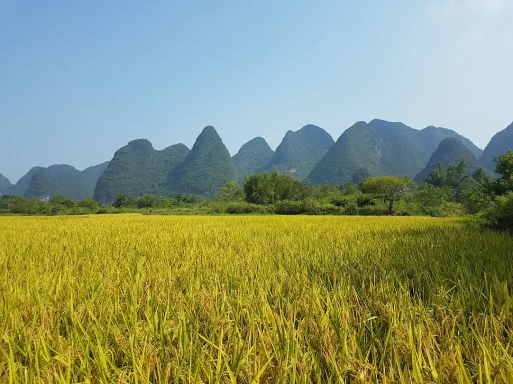 弱电工程项目中综合布线系统设计的常见误区与规避方案